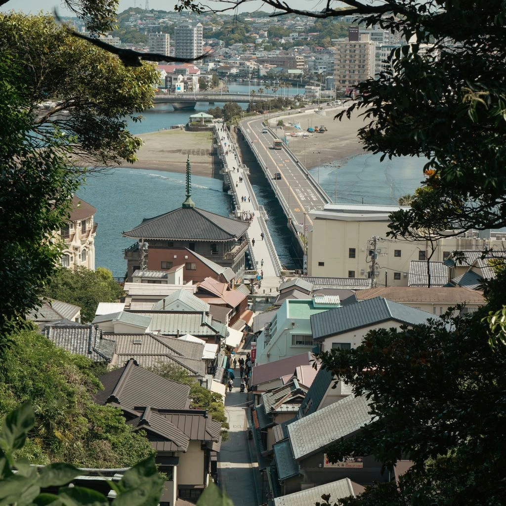 春のエノシマと海岸沿いの桜並木